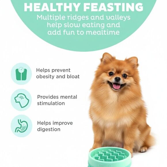 Outward Hound Slo Bowl SMALL Mint Green Puppy Slow Feeder Dog Pomeranian - Picture 5 of 9